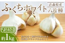 【訳あり】南部町営市場 直送 にんにく「ふくちホワイト六片種」約1kg 《カネテ青果》 青森にんにく ニンニク ガーリック バラ 最高級品種 福地ホワイト ふくちホワイト六片種 高級ブランド 日本一 産地  青森 南部 F21U-333
