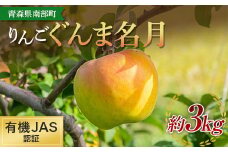 有機JAS認証 りんご ぐんま名月 約3kg 【和楽堂りんご養生農苑】 青森りんご リンゴ 林檎 アップル あおもり 青森 青森県 南部町 三戸 南部 果物 くだもの フルーツ オーガニック F21U-321