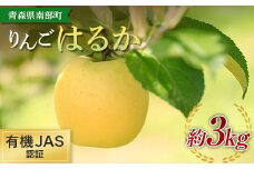 有機JAS認証 りんご はるか 約3kg 【和楽堂りんご養生農苑】青森りんご リンゴ 林檎 アップル あおもり 青森 青森県 南部町 三戸 南部 果物 くだもの フルーツ オーガニック F21U-324