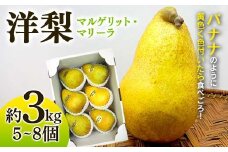 洋梨 マルゲリット・マリーラ 約3kg (5～8個) 【盛果園】 ナシ なし 梨 果物 フルーツ 果実 お取り寄せ ご当地 特産 農家直送 旬 秋 製菓 スイーツ デザート おやつ F21U-364