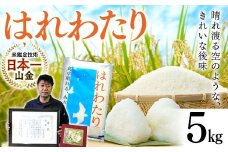 【コメ鑑定技術日本一の山金】 はれわたり 5kg （令和6年産） 特A 白米 精米 米 お米 おこめ コメ 東北 青森県 南部町 F21U-343