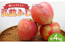 《家庭用》 葉とらずりんご 弘前ふじ 約4kg 【四戸農園】 減農薬 有機肥料 青森りんご リンゴ 林檎 アップル あおもり 青森 青森県 南部町 果物 くだもの フルーツ 訳あり 訳アリ わけあり 規格外 3kg 以上 F21U-359