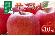 青森県 南部町産 りんご サンふじ 約10kg 【盛果園】 青森りんご リンゴ 林檎 アップル あおもり 青森 南部町 三戸 南部 果物 くだもの フルーツ 3kg 5kg 以上 F21U-366