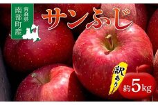 ≪訳あり≫ 青森県 南部町産 りんご サンふじ 約5kg 【盛果園】 青森りんご リンゴ 林檎 アップル あおもり 青森 南部町 三戸 南部 果物 くだもの フルーツ 家庭用 訳アリ わけあり 規格外 3kg 以上 F21U-368