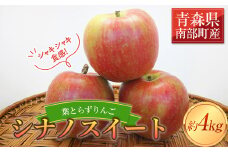 《家庭用》 葉とらずりんご シナノスイート 約4kg 【四戸農園】 減農薬 有機肥料 青森りんご リンゴ 林檎 アップル あおもり 青森 青森県 南部町 果物 くだもの フルーツ 訳あり 訳アリ わけあり 規格外  3kg 以上 F21U-358