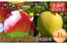 《訳ありの中の訳あり》 葉とらずりんご詰め合わせ 約10kg 【四戸農園】 減農薬 有機肥料 青森りんご リンゴ 林檎 アップル あおもり 青森 青森県 南部町 果物 くだもの フルーツ 訳あり 訳アリ わけあり 規格外 3kg 5kg 以上 F21U-362