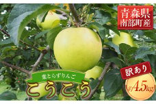 《家庭用》 葉とらずりんご こうこう 約4.5kg 【四戸農園】 減農薬 有機肥料 青森りんご リンゴ 林檎 アップル あおもり 青森 青森県 南部町 果物 くだもの フルーツ 訳あり 訳アリ わけあり 規格外 3kg 以上 F21U-369