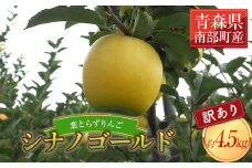 《家庭用》 葉とらずりんご シナノゴールド 約4.5kg 【四戸農園】 減農薬 有機肥料 青森りんご リンゴ 林檎 アップル あおもり 青森 青森県 南部町 果物 くだもの フルーツ 訳あり 訳アリ わけあり 規格外 3kg 以上 F21U-370