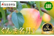 ぐんま名月 特選（大玉） 約3kg ［9～10個入］ 【留長果樹園】青森りんご りんご リンゴ 林檎 アップル ぐんま名月 フルーツ 果物 くだもの あおもり 青森 青森県 南部町 三戸 南部 F21U-371