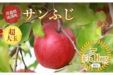 青森りんご サンふじ 特選品 (超大玉) 約5kg (10玉) 【マルス果樹園】 ふじ りんご リンゴ 林檎 アップル 果物 くだもの フルーツ あおもり 青森 青森県 南部町 三戸 南部  3kg 以上 F21U-373