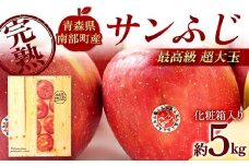 最高級（超大玉） 青森産 完熟 りんご サンふじ 約5kg 化粧箱入り 【誠果園】 青森りんご リンゴ 林檎 アップル あおもり 青森 青森県 南部町 三戸 南部 澁川賞受賞 果物 くだもの フルーツ F21U-384