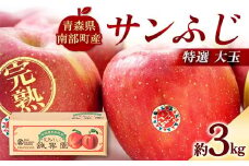 特選 (大玉) 青森産 完熟 りんご サンふじ 約3kg 【誠果園】 青森りんご リンゴ 林檎 アップル あおもり 青森 青森県 南部町 三戸 南部 澁川賞受賞 果物 くだもの フルーツ F21U-385