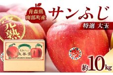 特選 (大玉) 青森産 完熟 りんご サンふじ 約10kg 【誠果園】 青森りんご リンゴ 林檎 アップル あおもり 青森 青森県 南部町 三戸 南部 澁川賞受賞 果物 くだもの フルーツ F21U-387