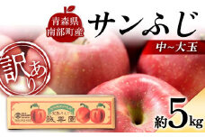 【訳あり】 青森産 完熟 りんご サンふじ （中～大玉） 約5kg 【誠果園】 青森りんご リンゴ 林檎 アップル あおもり 青森 青森県 南部町 三戸 南部 澁川賞受賞 果物 くだもの フルーツ 家庭用 規格外 わけあり ワケアリ 訳アリ F21U-388