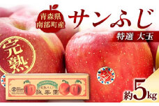 特選 (大玉) 青森産 完熟 りんご サンふじ 約5kg 【誠果園】 青森りんご リンゴ 林檎 アップル あおもり 青森 青森県 南部町 三戸 南部 澁川賞受賞 果物 くだもの フルーツ F21U-386