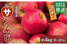 ≪訳あり≫ 青森県産 りんご 「サンふじ」 約4kg（16～20玉） 【カネテ青果】 南部町営卸売市場 直送 青森りんご リンゴ 林檎 アップル あおもり 青森県 南部町 三戸 果物 くだもの フルーツ 3kg 以上 F21U-399