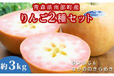 青森県 希少りんご サンふじ＆なかののきらめき 約3kgセット 【泉山果樹園】 青森りんご ふじ なかののきらめき リンゴ 林檎 アップル あおもり 青森 青森県 南部町 三戸 南部 果物 くだもの フルーツ 2種セット F21U-397
