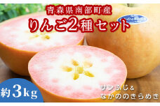 青森県 希少りんご サンふじ＆なかののきらめき 約3kgセット 【泉山果樹園】 青森りんご ふじ なかののきらめき リンゴ 林檎 アップル あおもり 青森 青森県 南部町 三戸 南部 果物 くだもの フルーツ 2種セット F21U-397