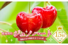 ≪数量限定≫ 露地栽培 青森だけの特別なさくらんぼ 「ジュノハート」 15粒（3L～4L）【留長果樹園】 期間限定 初夏のルビー 贈答 フルーツ王国 南部町 国産 サクランボ チェリー 青森 青森の宝物 F21U-401