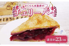 さくらんぼ農家のチェリーパイ(直径 約23cm) 【Shinohe's farm】 青森 さくらんぼ サクランボ お菓子 ケーキ 洋菓子 シノヘズファーム F21U-391