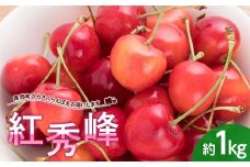 さくらんぼ 紅秀峰 約1kg (バラ詰め) 《西塚農園》 サクランボ チェリー 果物 くだもの フルーツ 夏果実 桜桃 高級 贈答 ギフト F21U-451