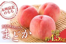 ≪先行予約≫ もぎたて発送 桃 まどか 特選 (大玉) 約4.5kg (10～15個) 【誠果園】もも モモ 青森県 南部町 三戸 南部 果物 くだもの フルーツ F21U-457