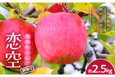 【訳あり】りんご 恋空 約2.5kg【四戸農園】減農薬 有機肥料 青森りんご リンゴ 林檎 アップル あおもり 青森 青森県 南部町 果物 くだもの フルーツ 訳あり 訳アリ わけあり 規格外 F21U-461