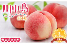 【訳あり】 川中島白桃 約3kg（8～12玉） 【泉山果樹園】 青森県 南部町 モモ もも 果物 くだもの フルーツ 規格外 家庭用 わけあり ワケアリ F21U-468