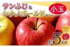 青森りんご サンふじ・シナノゴールド 約5kg （小玉20個） 【マルス果樹園】 小玉 食べきり ２種 セット ふじ シナノゴールド りんご リンゴ 林檎 アップル 果物 くだもの フルーツ あおもり 青森 青森県 南部町 三戸 南部 F21U-465