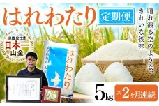 ＜定期便＞【コメ鑑定技術日本一の山金】 はれわたり 5kg×2ヶ月連続（令和6年産） 白米 精米 米 お米 おこめ コメ 東北 青森県 南部町 F21U-484