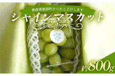 農林水産大臣賞受賞 シャインマスカット 約800g 【沼畑総合ファーム】 フルーツ 大粒 ぶどう 葡萄 ブドウ 果物 人気 種なし 新鮮 高級 ギフト 贈答 くだもの 期間限定 青森県 南部町 F21U-510