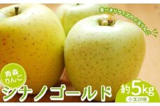 青森りんご シナノゴールド 約5kg （小玉20個） 【マルス果樹園】 りんご リンゴ 林檎 アップル 果物 くだもの フルーツ あおもり 青森 青森県 南部町 三戸 南部 F21U-518