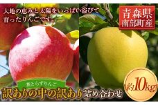 《訳ありの中の訳あり》 葉とらずりんご詰め合わせ 約10kg 【四戸農園】 減農薬 有機肥料 青森りんご リンゴ 林檎 アップル あおもり 青森 青森県 南部町 果物 くだもの フルーツ 訳あり 訳アリ わけあり 規格外 F21U-521