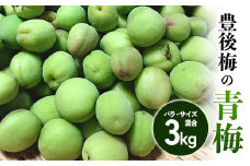 豊後梅の青梅 約3kg (バラ) ≪西塚農園≫ 梅 梅干し 梅酒 梅干 梅シロップ 梅ジャム 3キロ 数量限定 F21U-589