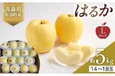 青森県産 希少りんご はるか Lサイズ 5kg 【佐々木あきおはるこ農園】 青森りんご リンゴ 林檎 アップル あおもり 青森県 南部町 三戸 果物 くだもの フルーツ F21U-562