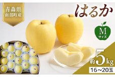 青森県産 希少りんご はるか Mサイズ 5kg 【佐々木あきおはるこ農園】 青森りんご リンゴ 林檎 アップル あおもり 青森県 南部町 三戸 果物 くだもの フルーツ F21U-563