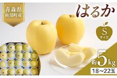 青森県産 希少りんご はるか Sサイズ 5kg 【佐々木あきおはるこ農園】 青森りんご リンゴ 林檎 アップル あおもり 青森県 南部町 三戸 果物 くだもの フルーツ F21U-564