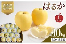 青森県産 希少りんご はるか Lサイズ 10kg 【佐々木あきおはるこ農園】 青森りんご リンゴ 林檎 アップル あおもり 青森県 南部町 三戸 果物 くだもの フルーツ F21U-565