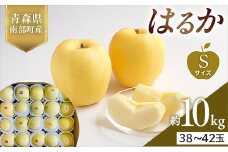 青森県産 希少りんご はるか Sサイズ 10kg 【佐々木あきおはるこ農園】 青森りんご リンゴ 林檎 アップル あおもり 青森県 南部町 三戸 果物 くだもの フルーツ F21U-567