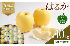 青森県産 希少りんご はるか Mサイズ 10kg 【佐々木あきおはるこ農園】 青森りんご リンゴ 林檎 アップル あおもり 青森県 南部町 三戸 果物 くだもの フルーツ F21U-566