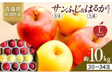 青森県産 サンふじ(3/4)・はるか(1/4)セット Lサイズ 10kg 【佐々木あきおはるこ農園】 青森りんご リンゴ 林檎 アップル あおもり 青森県 南部町 三戸 果物 くだもの フルーツ F21U-577