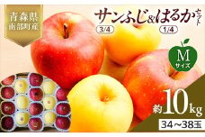 青森県産 サンふじ(3/4)・はるか(1/4)セット Mサイズ 10kg 【佐々木あきおはるこ農園】 青森りんご リンゴ 林檎 アップル あおもり 青森県 南部町 三戸 果物 くだもの フルーツ F21U-578