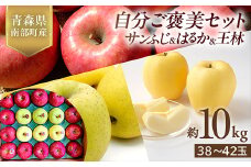 青森県産 サンふじ・はるか・王林 (自分ご褒美セット) 10kg 【佐々木あきおはるこ農園】 青森りんご リンゴ 林檎 アップル あおもり 青森県 南部町 三戸 果物 くだもの フルーツ F21U-581