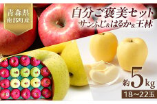 青森県産 サンふじ・はるか・王林 (自分ご褒美セット) 5kg 【佐々木あきおはるこ農園】 青森りんご リンゴ 林檎 アップル あおもり 青森県 南部町 三戸 果物 くだもの フルーツ F21U-580