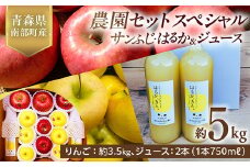 青森県産 サンふじ・はるか＆りんごジュース (農園セットスペシャル) 5kg 【佐々木あきおはるこ農園】 青森りんご リンゴ 林檎 アップル リンゴジュース あおもり 青森県 南部町 三戸 果物 くだもの フルーツ F21U-584