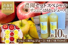 青森県産 サンふじ・はるか＆りんごジュース (農園セットスペシャル) 10kg 【佐々木あきおはるこ農園】 青森りんご リンゴ 林檎 アップル リンゴジュース あおもり 青森県 南部町 三戸 果物 くだもの フルーツ F21U-585