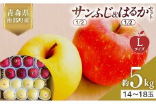 青森県産 サンふじ(1/2)・はるか(1/2)セット Lサイズ 5kg (各2.5kg) 【佐々木あきおはるこ農園】 青森りんご リンゴ 林檎 アップル あおもり 青森県 南部町 三戸 果物 くだもの フルーツ F21U-568