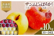 青森県産 サンふじ(1/2)・はるか(1/2)セット Lサイズ 10kg (各5kg) 【佐々木あきおはるこ農園】 青森りんご リンゴ 林檎 アップル あおもり 青森県 南部町 三戸 果物 くだもの フルーツ F21U-571