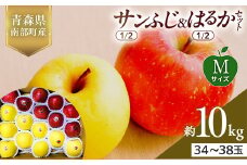青森県産 サンふじ(1/2)・はるか(1/2)セット Mサイズ 10kg (各5kg) 【佐々木あきおはるこ農園】 青森りんご リンゴ 林檎 アップル あおもり 青森県 南部町 三戸 果物 くだもの フルーツ F21U-572