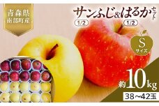 青森県産 サンふじ(1/2)・はるか(1/2)セット Sサイズ 10kg (各5kg) 【佐々木あきおはるこ農園】 青森りんご リンゴ 林檎 アップル あおもり 青森県 南部町 三戸 果物 くだもの フルーツ F21U-573